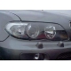  Захист фар BMW X5 2004 - EGR 210020