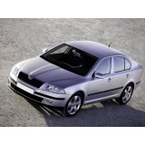 Захист двигуна Skoda Octavia I A4 (97-10) Кольчуга 1.9115.00